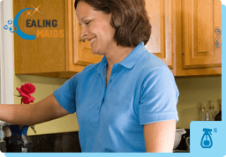 Domestic Cleaners Ealing