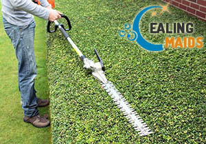 Hedge Trimming Ealing