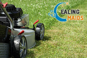 Lawn Care Ealing