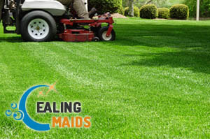 Lawn Mowing Ealing