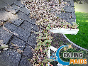 cleaning-gutter-ealing